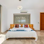 Ruby, Kalkan, 카스